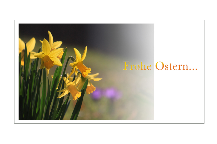 Fröhliche Ostern...