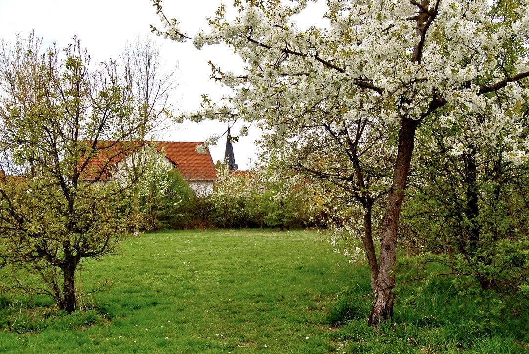 Fröhliche Ostern…