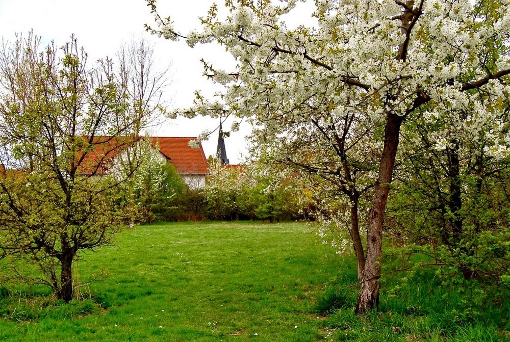 Fröhliche Ostern…