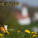 Fröhliche Ostern!