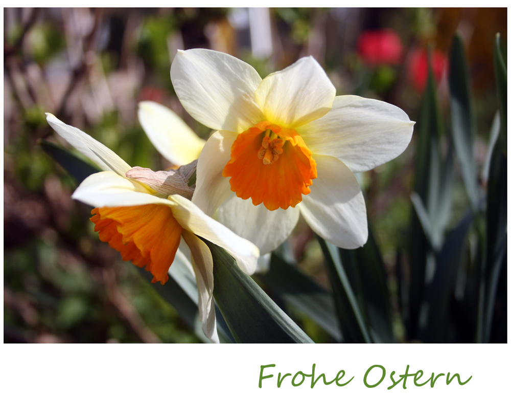 Fröhliche Ostern