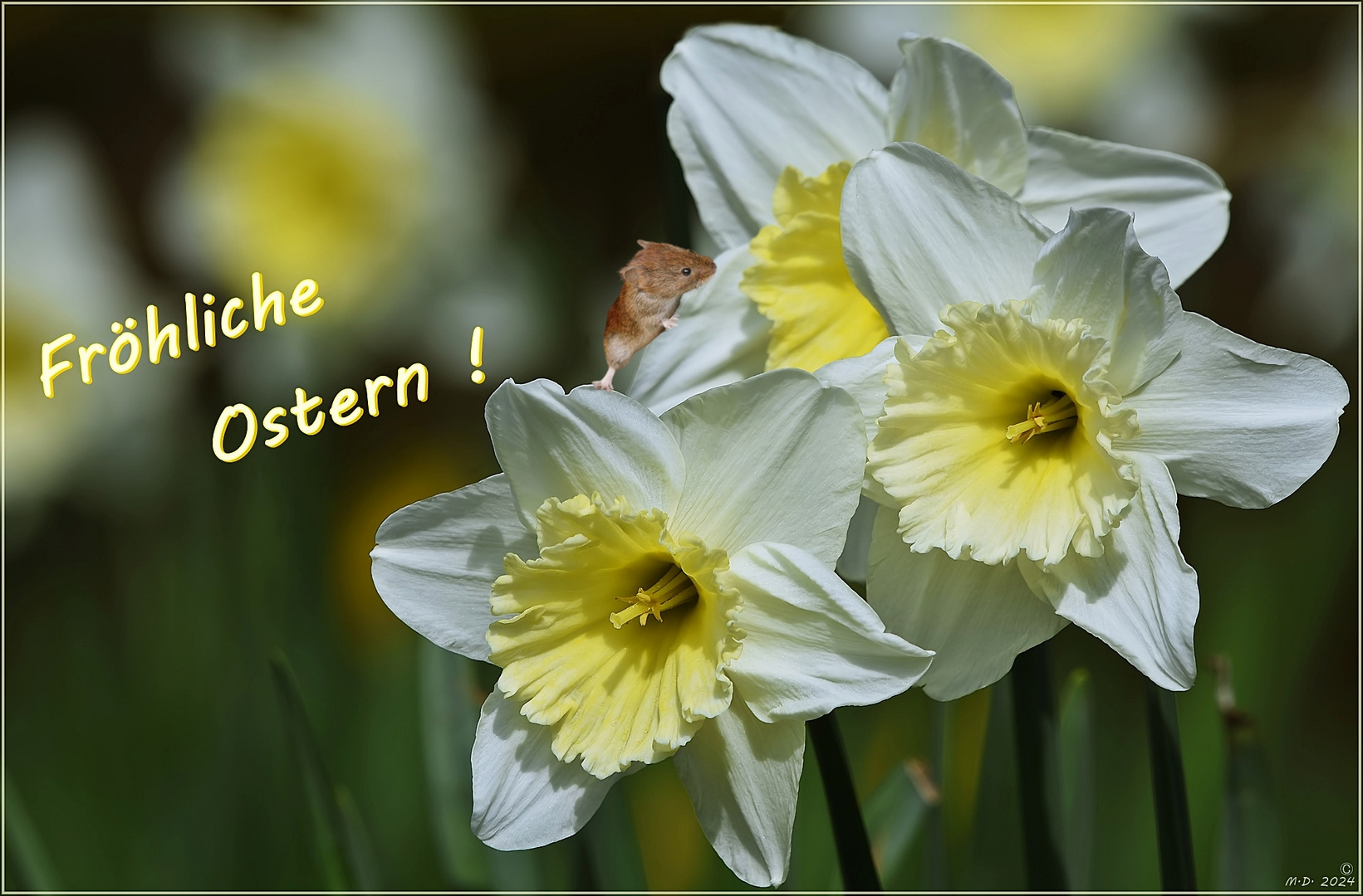 Fröhliche Ostern ...