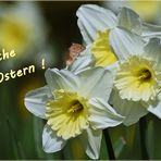 Fröhliche Ostern ...