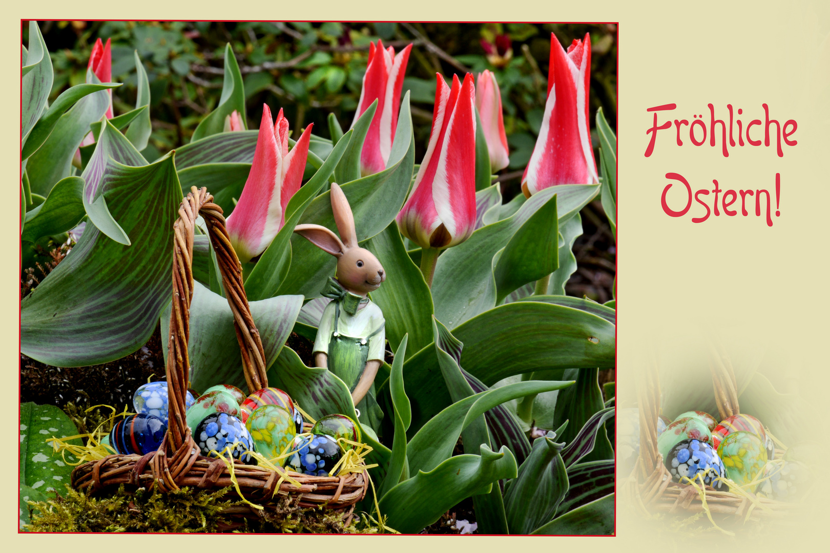  Fr hliche  Ostern  Foto Bild spezial tulpen ostern  