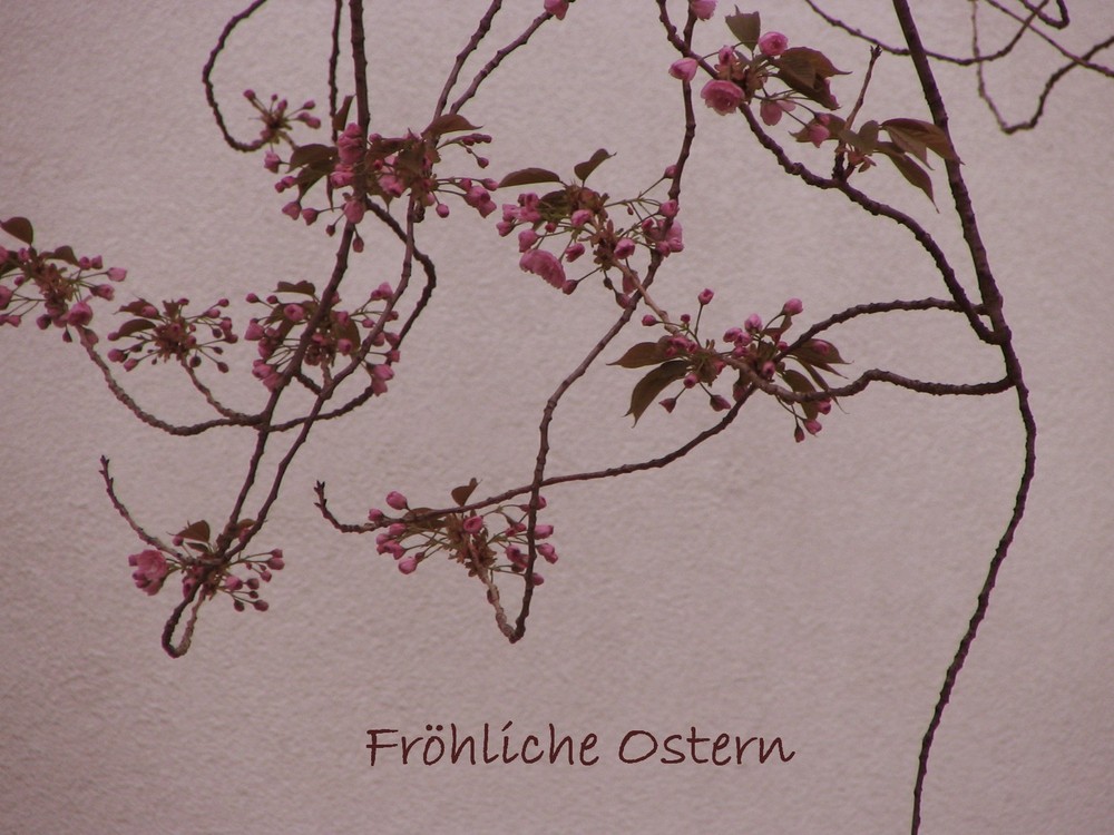 Fröhliche Ostern