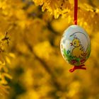 Fröhliche Ostern