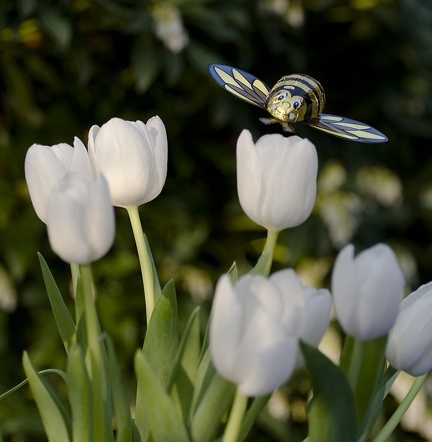 Fröhliche Ostern