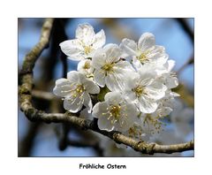 Fröhliche Ostern