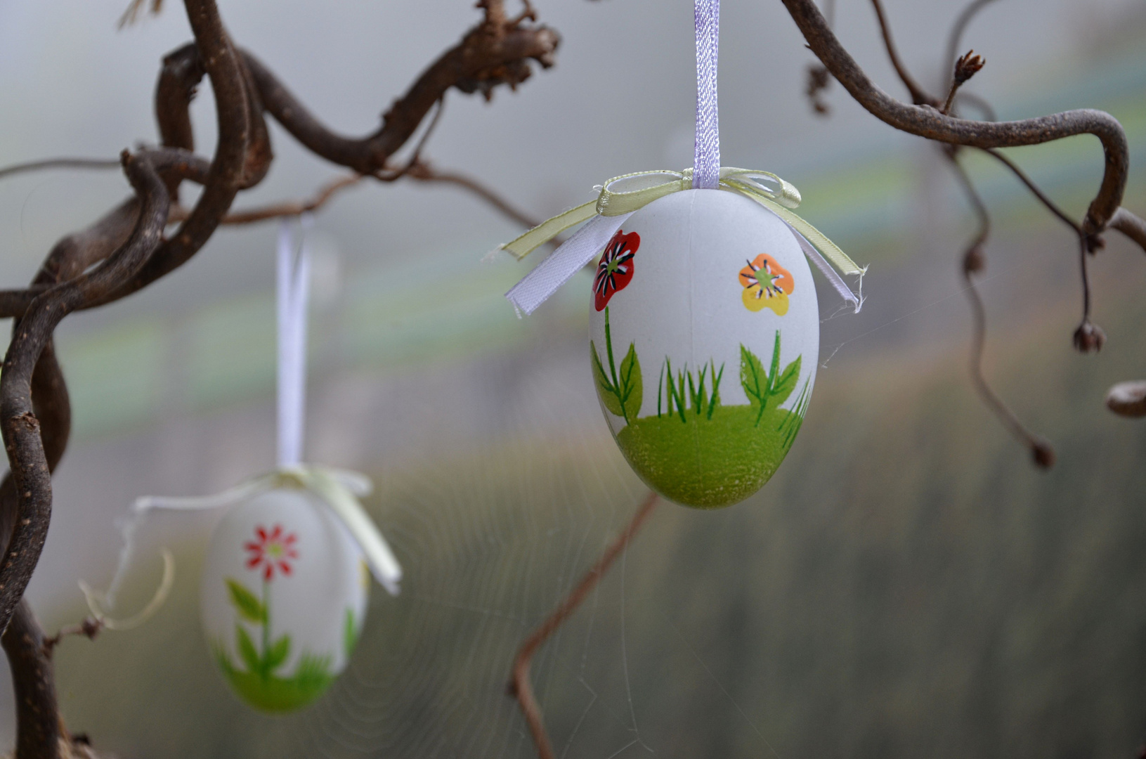 Fr hliche Ostern w nscht der Osterhase Foto Bild Fr hliche Ostern w nscht der Osterhase Foto Bild