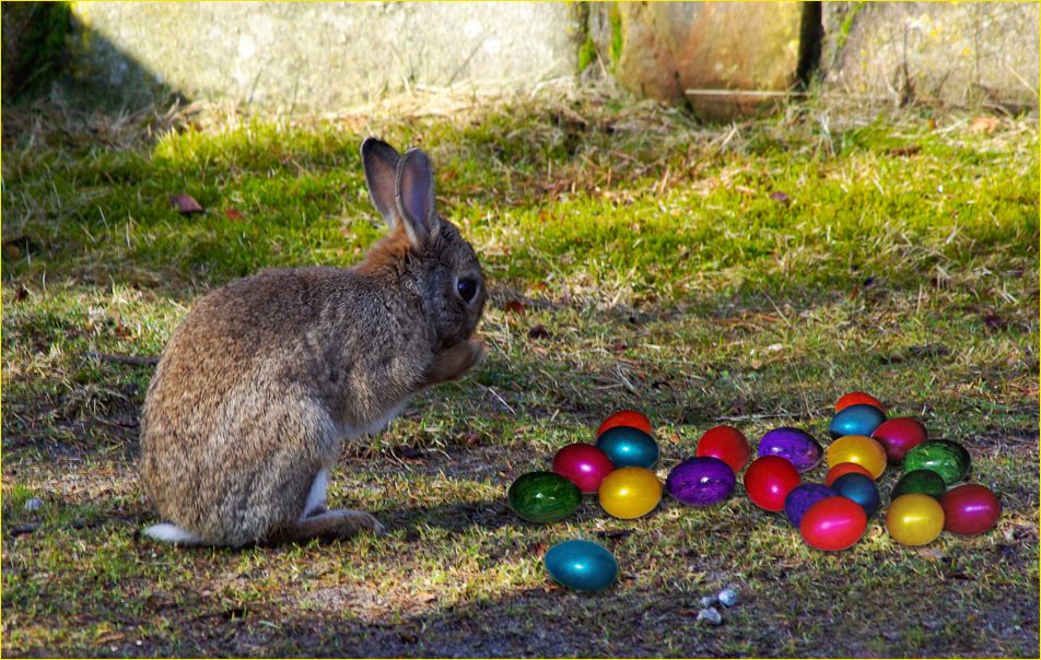 Fröhliche Ostertage....