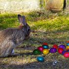 Fröhliche Ostertage....