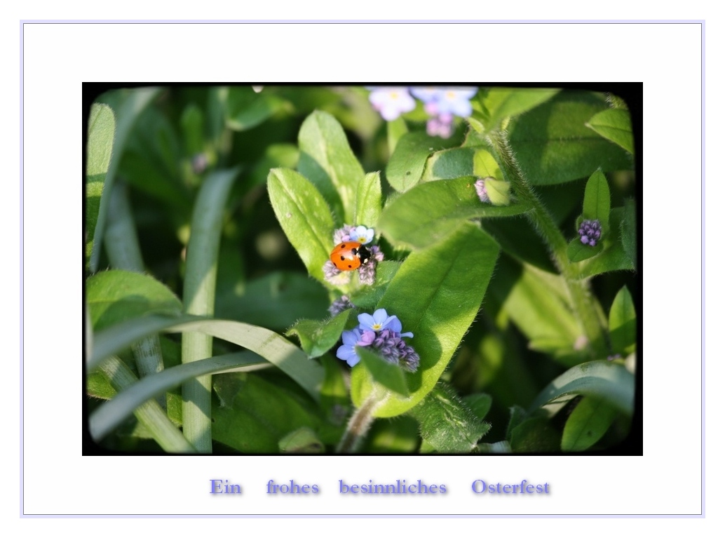 Fröhliche Osterzeit