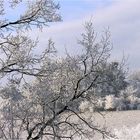 Fröhliche und fast weiße Weihnachten ...