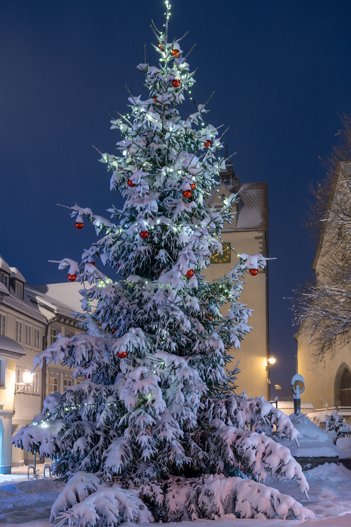 fröhliche Weihnacht