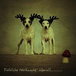 Fröhliche Weihnacht´....