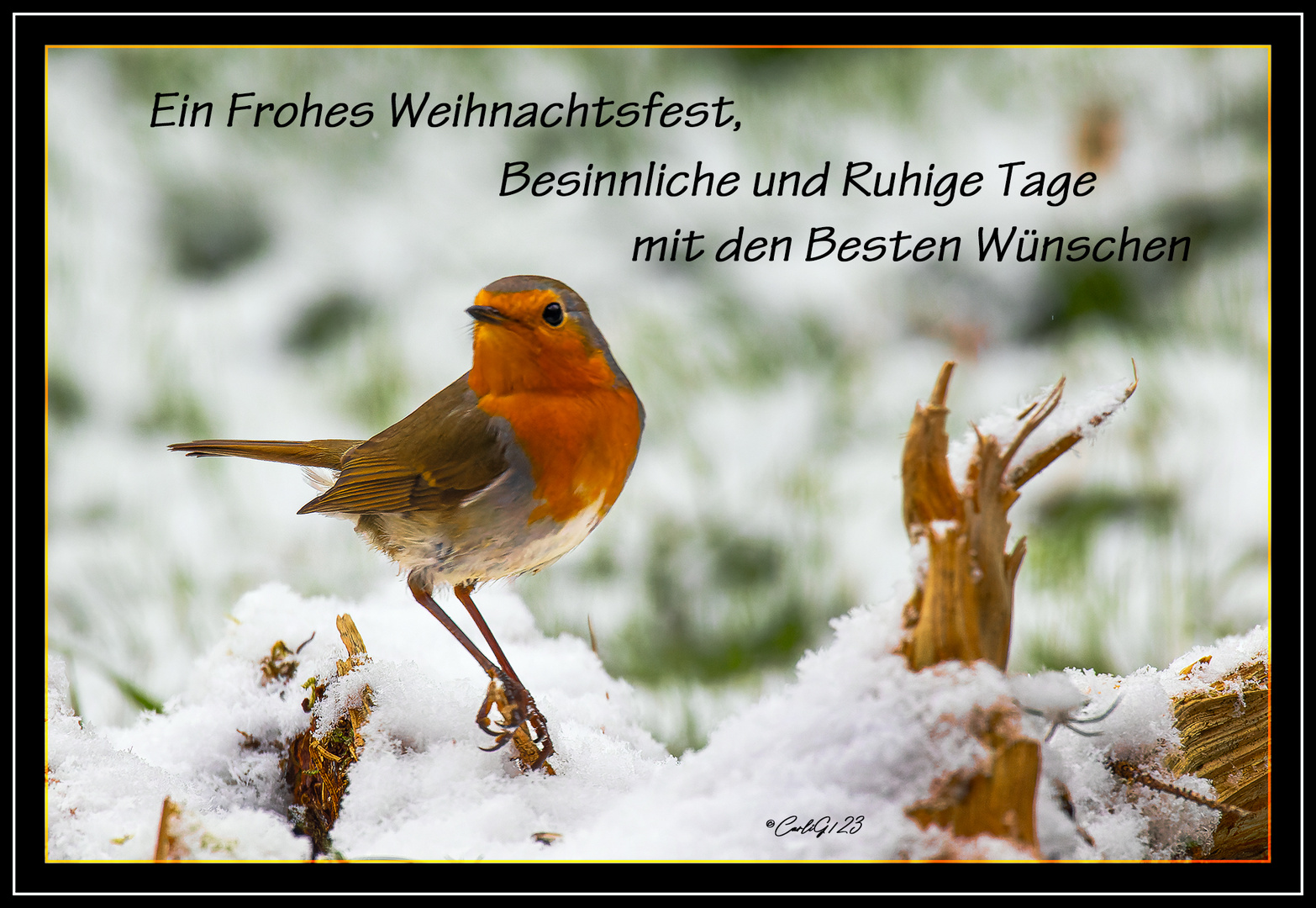 Fröhliche Weihnacht.....