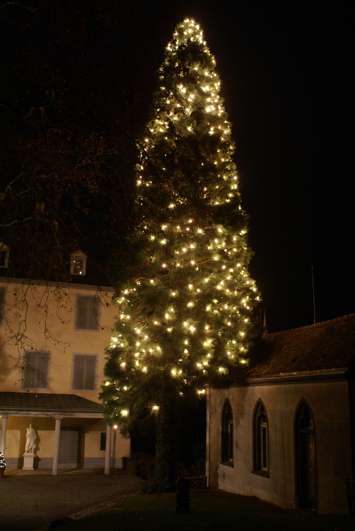 Fröhliche Weihnachten...