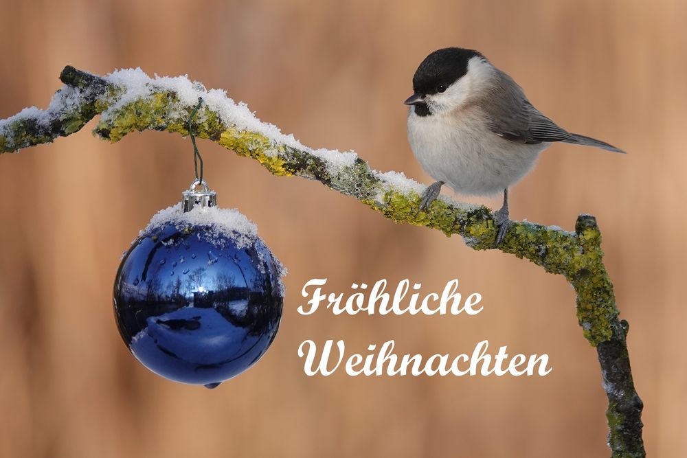 Fröhliche Weihnachten