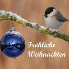 Fröhliche Weihnachten