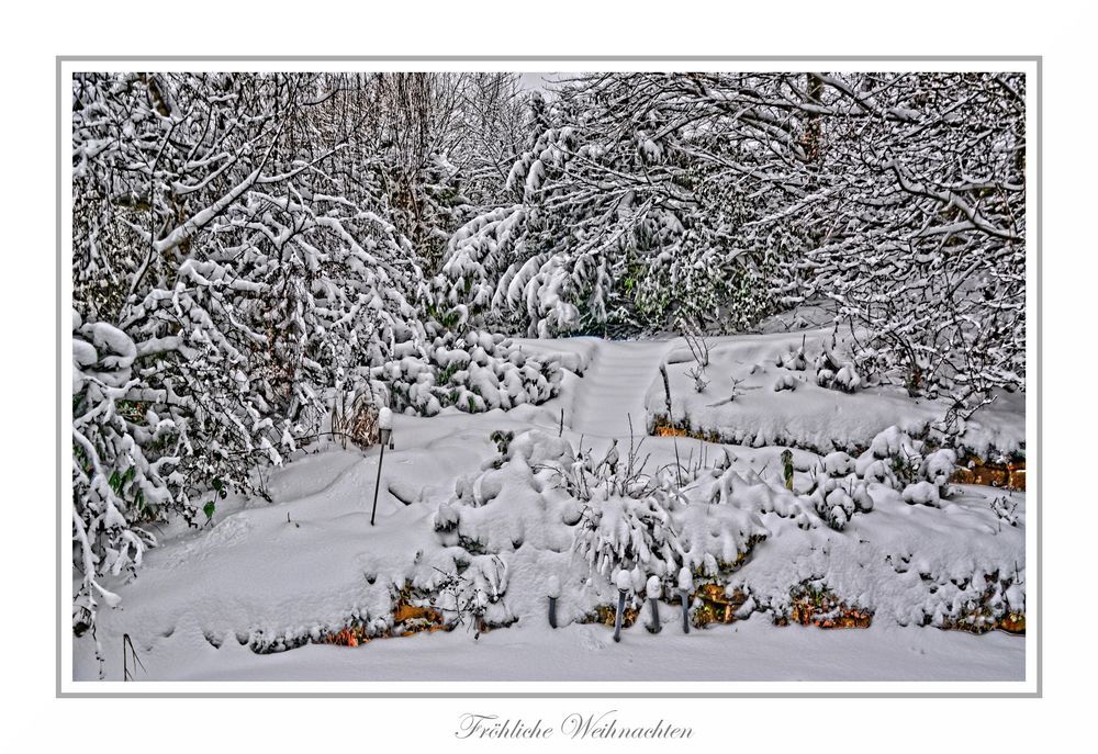 - Fröhliche Weihnachten -