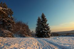 Fröhliche Weihnachten