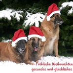 Fröhliche Weihnachten.............