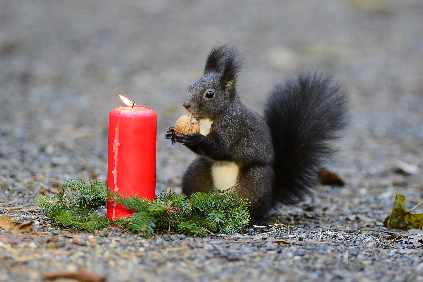 Fröhliche Weihnachten