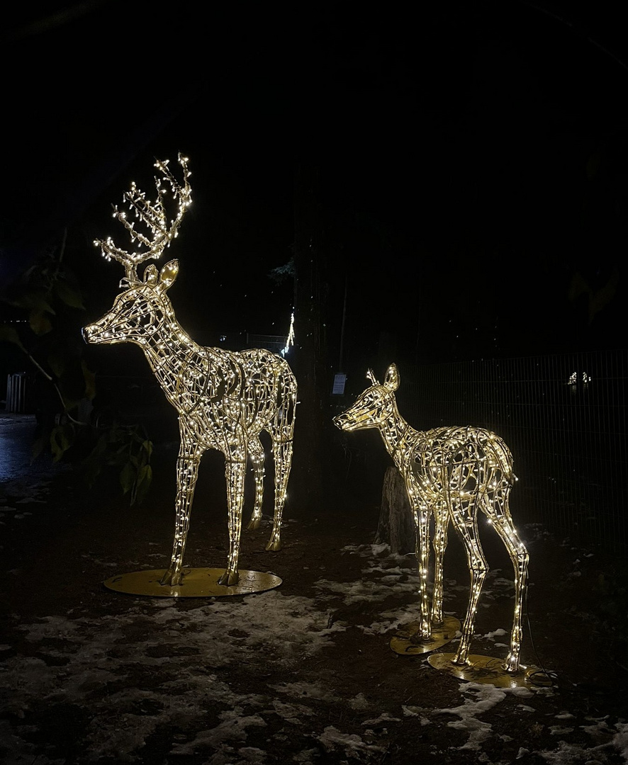 Fröhliche Weihnachten!