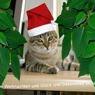 Fröhliche Weihnachten!!!