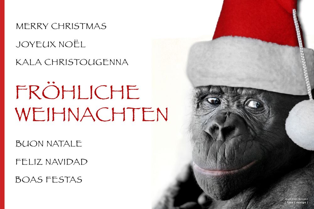 FRÖHLICHE WEIHNACHTEN Foto & Bild karten und kalender