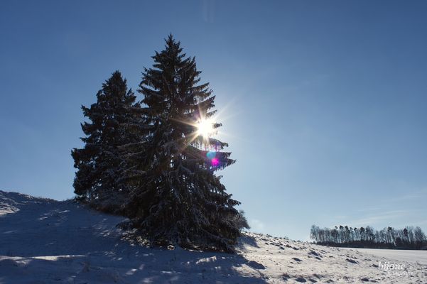 Fröhliche Weihnachten
