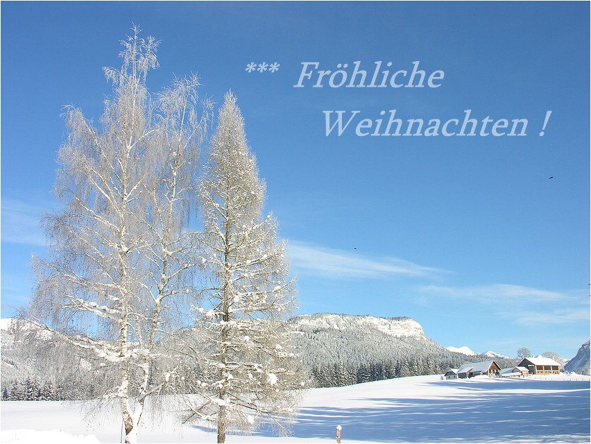 Fröhliche Weihnachten ...