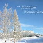 Fröhliche Weihnachten ...