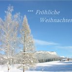 Fröhliche Weihnachten ...