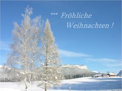 Fröhliche Weihnachten ...