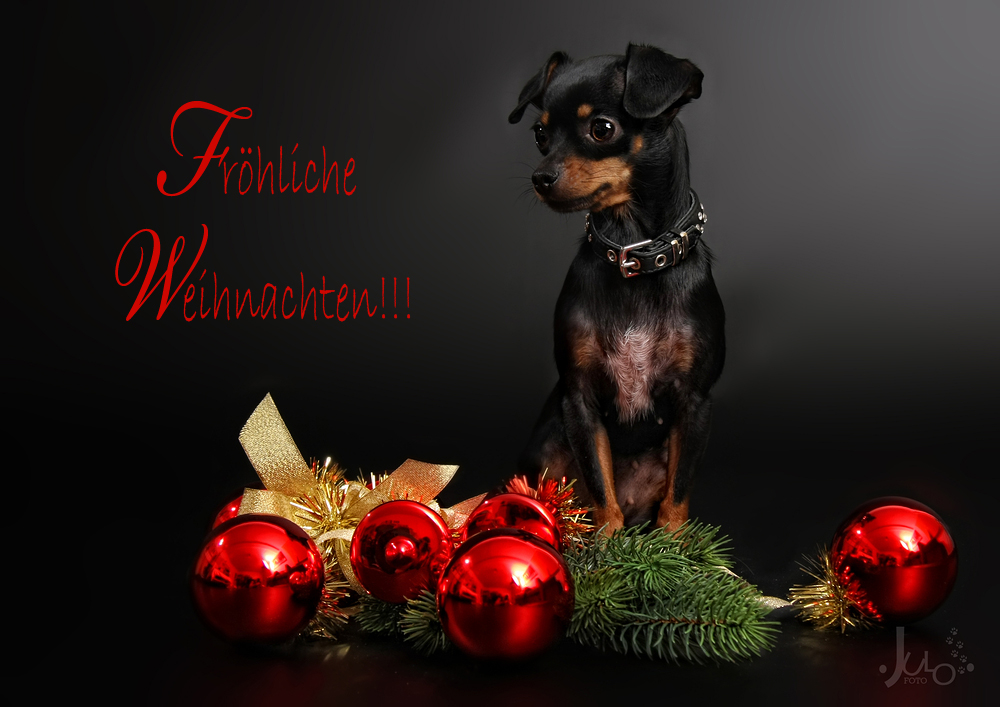 Fröhliche Weihnachten...