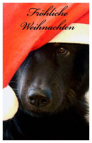 Fröhliche Weihnachten