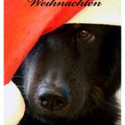 Fröhliche Weihnachten