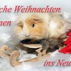 Fröhliche Weihnachten