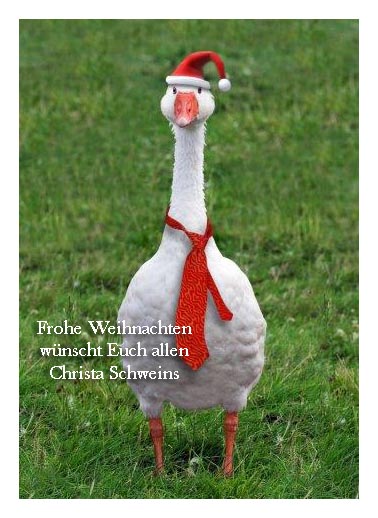 Fröhliche Weihnachten an alle Vegetarier ....