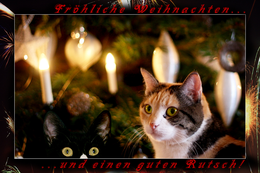 Fröhliche Weihnachten