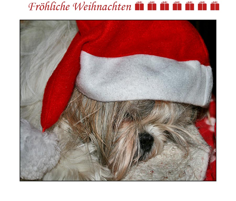 Fröhliche Weihnachten