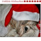 Fröhliche Weihnachten