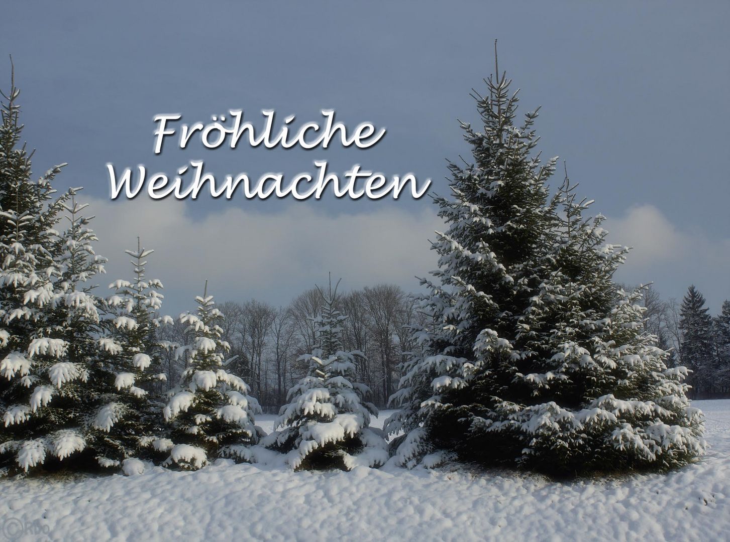 fröhliche Weihnachten Foto &amp; Bild | spezial, bäume, winter Bilder auf  fotocommunity