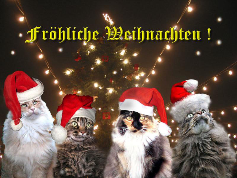 Fröhliche Weihnachten ...