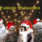 Fröhliche Weihnachten ...