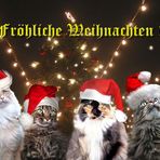 Fröhliche Weihnachten ...