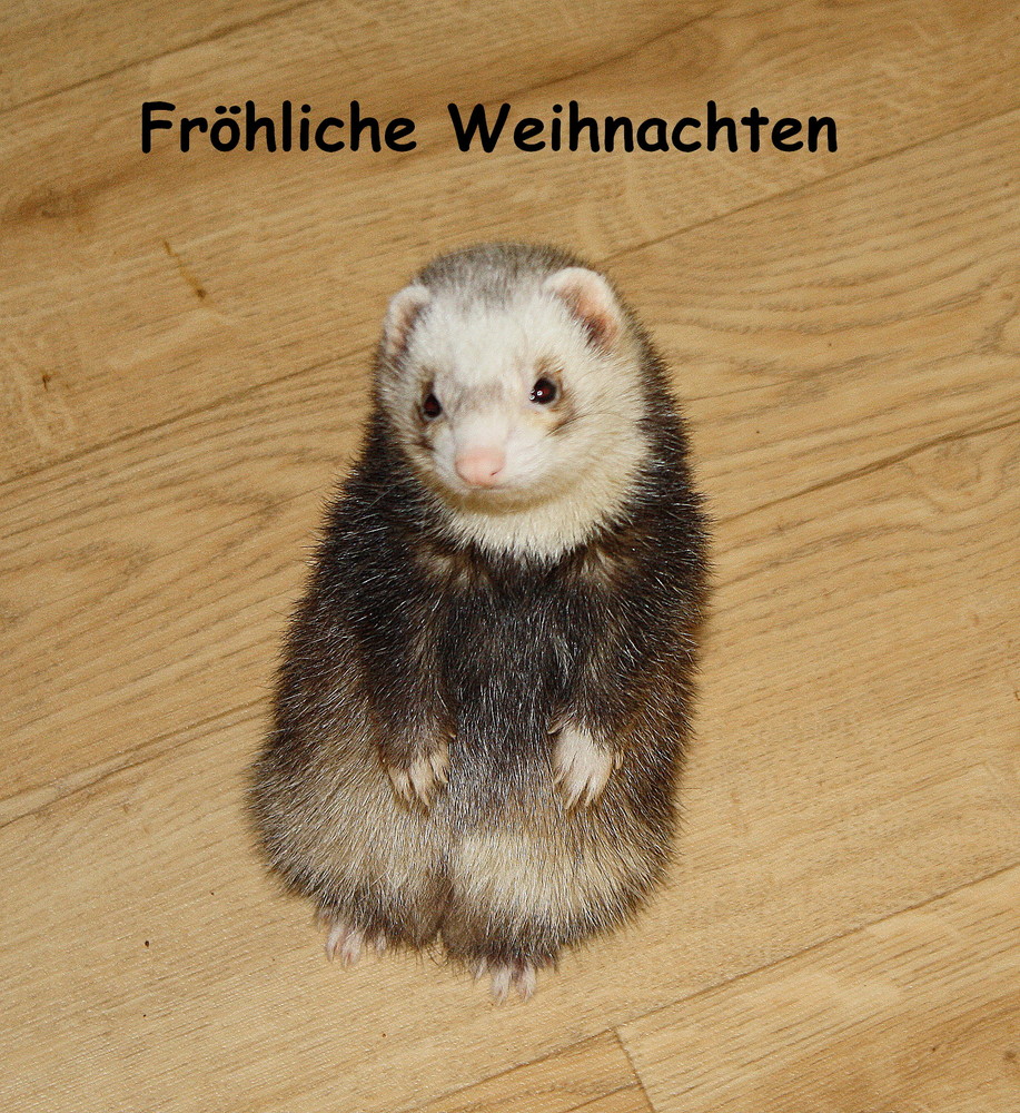 Fröhliche Weihnachten