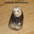 Fröhliche Weihnachten