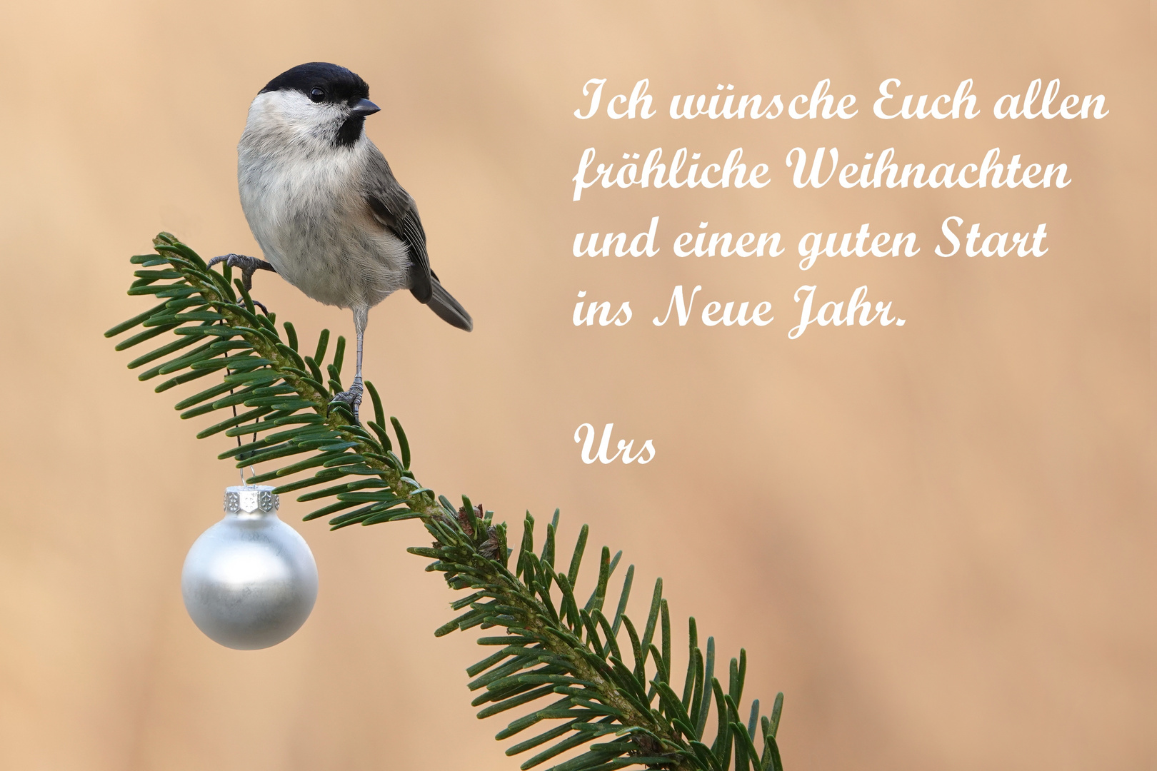 Fröhliche Weihnachten